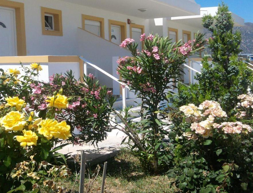 Nikos 2 Studios & Apartments Kardamena  객실 사진
