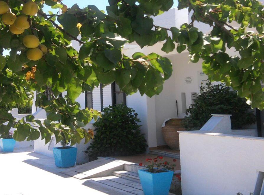 Nikos 2 Studios & Apartments Kardamena  외부 사진