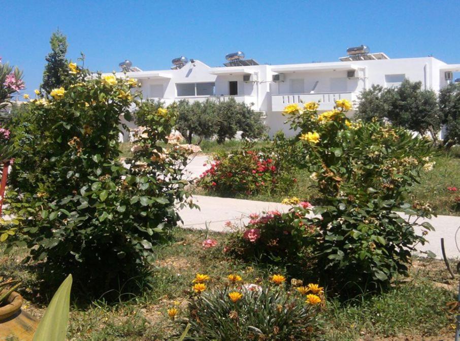 Nikos 2 Studios & Apartments Kardamena  객실 사진